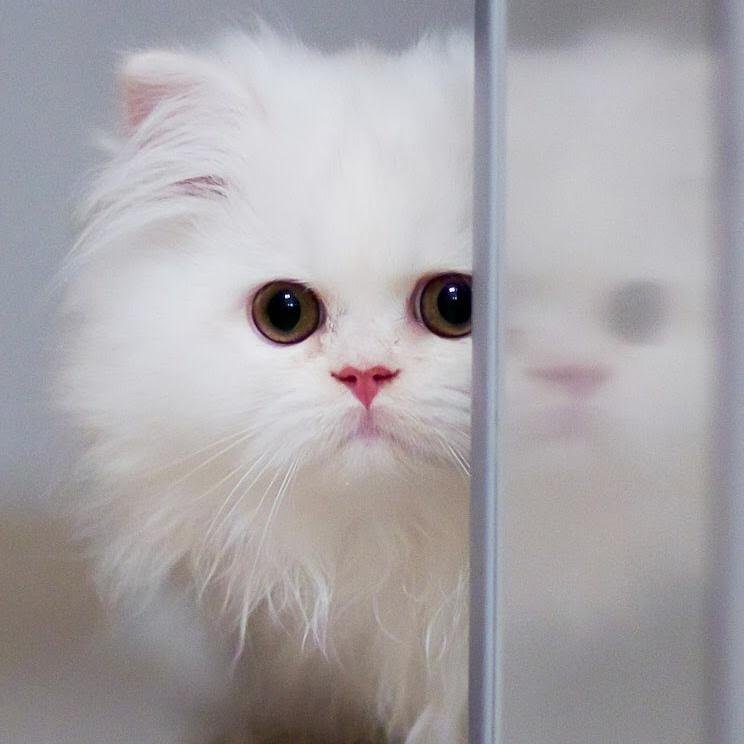 AcPawanrat's profile picture. ที่ระบายส่วนตัว