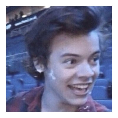 pls follow @cuddlyhxmmings