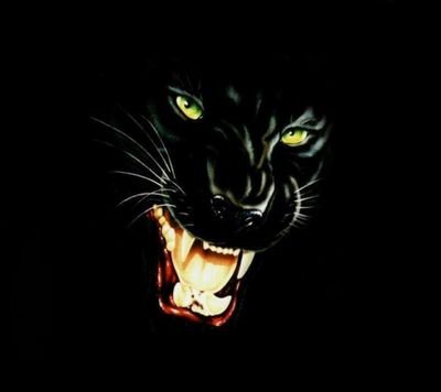 moroZ21V's profile picture. 