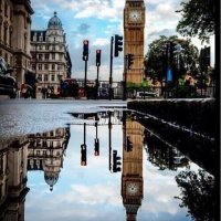 Me You (@london666666) 's Twitter Profile