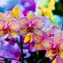 Kenya Porter-Jones - @KPJones02040609 - Twitter