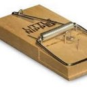 John Commins - @PestControlPre - Twitter