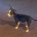 Greg Staley - @staley7781 - Twitter