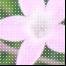 いろいろがんばってます！