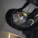 toya hill - @sexy_black3 - Twitter