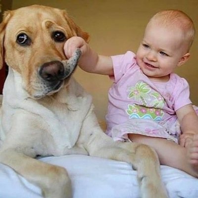 SadeceSevim's profile picture. 