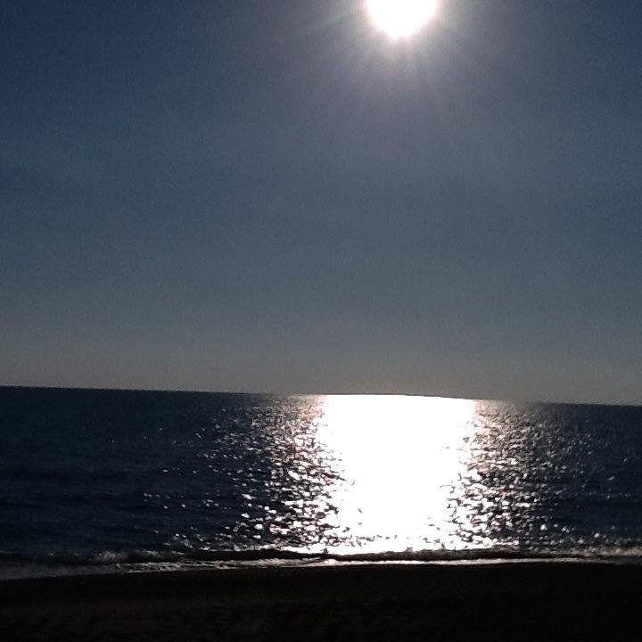 valesantorodf's profile picture. Giornalista