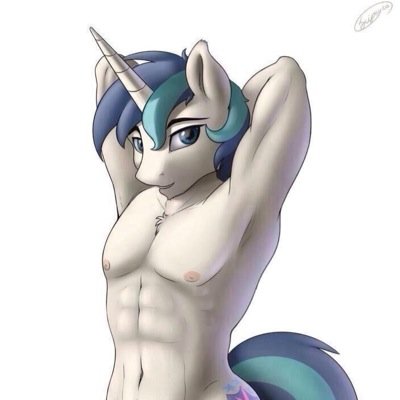 I'm Shining armor and my little sis is Twilight and i like to have some fun. #R34rp