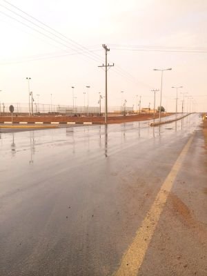 F74847Fffff's profile picture. ‏متزوج وارغب بالزواج من الثانيه