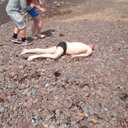 drew parsons - @droopy935 - Twitter