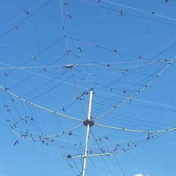SP7IDX Hexbeam Technnology - G3TXQ Design 6 bands best built broadband antenna.