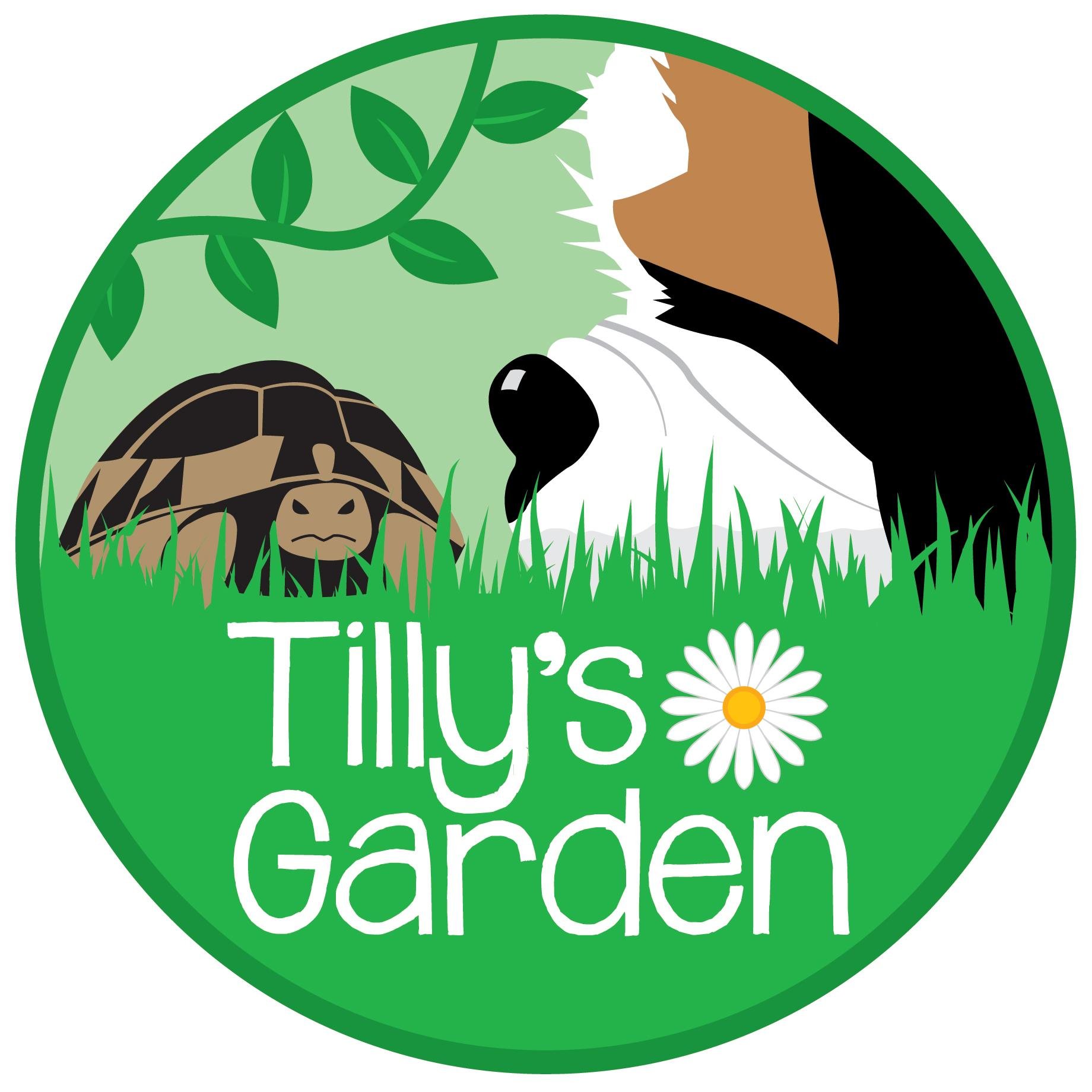 Tillys garden is creating some magial botanical, holistic pet care items.