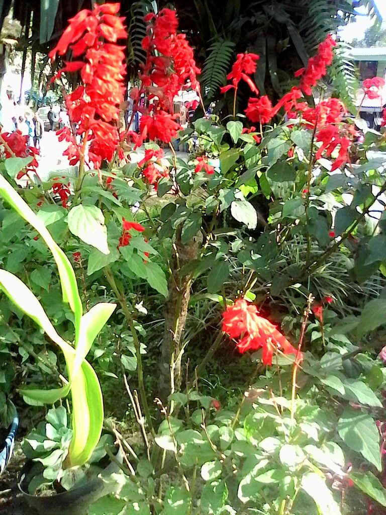 bahira_al's profile picture. Greyson Chance ~ Home is in ur eyes | Love Mom And Dad | 14 years old | OTAKU | Follow Me °_°