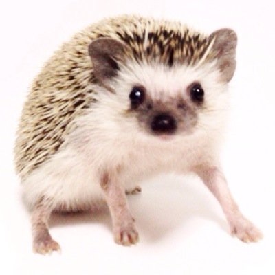 えびす丸☆じじいさんのプロフィール画像