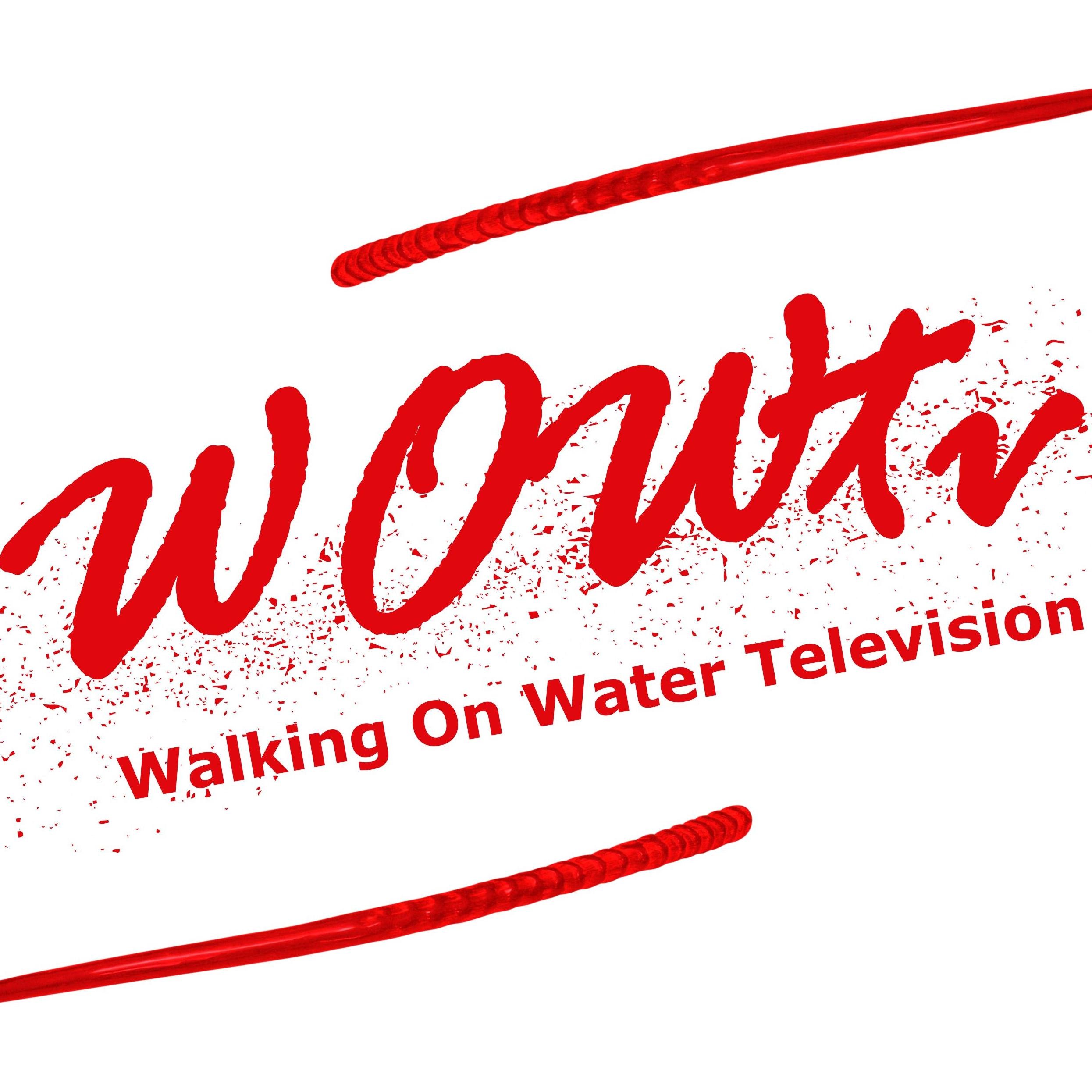 WOWtvAfrica's profile picture. WOWtv, a Godly TV broadcaster with current affairs, family building programs and entertainment that will disciple the nations to fulfill their God given purpose