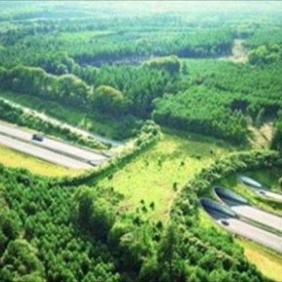harmonybhi's profile picture. Procedures for the Design of Roads in Harmony with Wildlife.