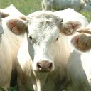 Toby Willis - @toby98673 - Twitter