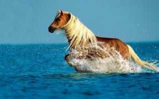 ‏‏‏‏تعارف وصداقه