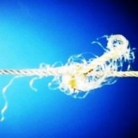NEGERIINSTALASI (@negeriinstalasi) 's Twitter Profile