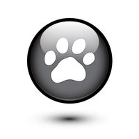 Easypetexports (@easypetexports) 's Twitter Profile