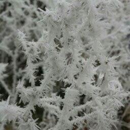 educationzv's profile picture. 