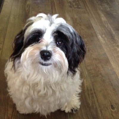 DonnaBag's profile picture. 