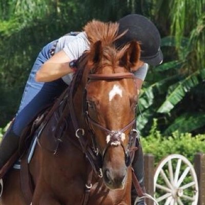 judgementfarms's profile picture. 