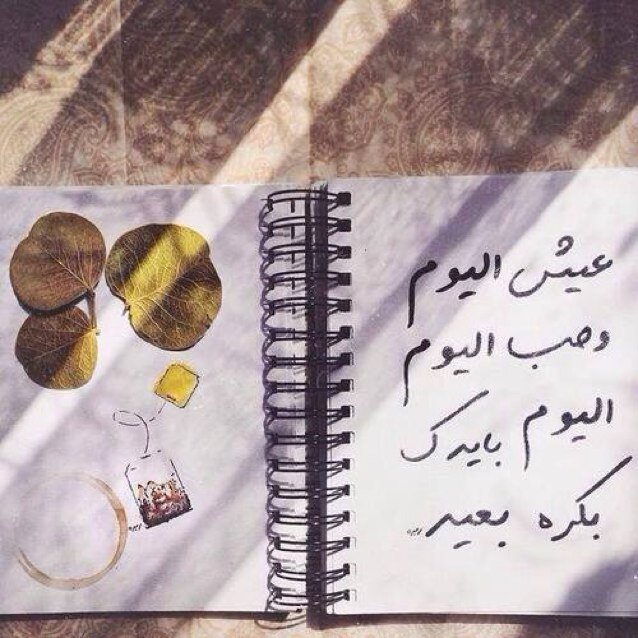 rz_ess's profile picture. سخر لقلبي يا الله كل جميل  ✨.