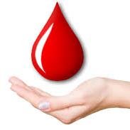 If you are sharing a Blood Requirement, Plz give basic required details : city, blood group, contact no, hospital name & location