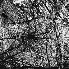 BassistryMusic's profile picture. 