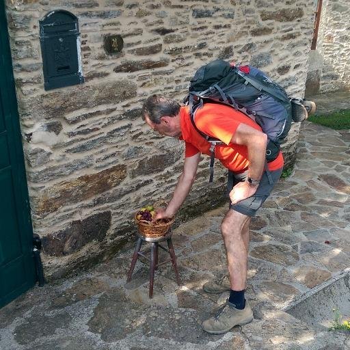 TonAJWillems's profile picture. Voorzitter IVN afd. Oisterwijk | Passie voor natuur | Oisterwijkse bossen en vennen | Kampina l Natuurgids