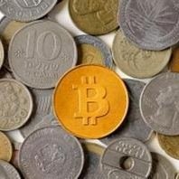 1BitcoinStore's profile picture. 