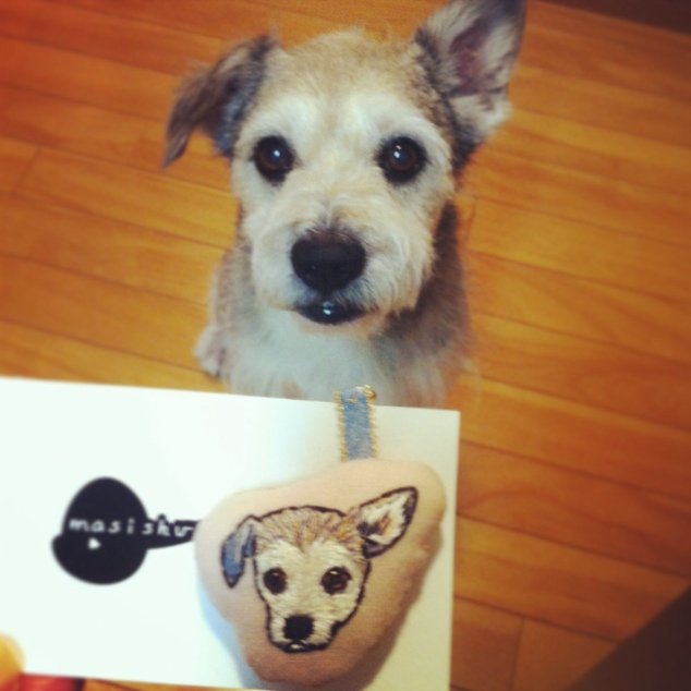 writing & planning, plant book hunter, リトルプレスもつくっています。 together forever JULIO, 5 July 2001 - 18 June 2014, CINNAMON 18 April 2015 - , CACAO 8 August 2022 -