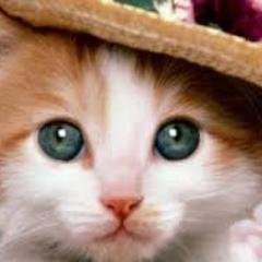 futton5's profile picture. 