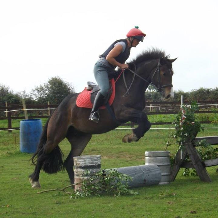Streamside01's profile picture. Family-run Riding School just outside Moyvane. Fun for all ages! All equipment provided.