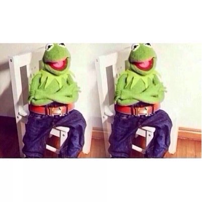 i'll give you this kermit dick