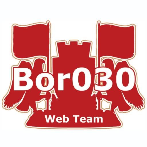 Web portal grada Bora...