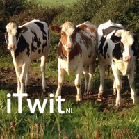 iTwit(@iTwit) 's Twitter Profile Photo