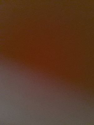 CarniMera Profile Picture