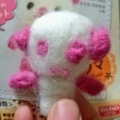 しらねこ