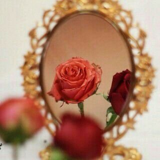 315beffc6aa840a's profile picture. 