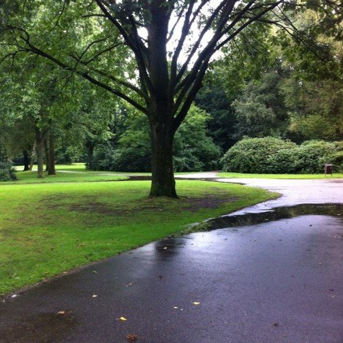 WilcoSikkema's profile picture. instagram: wilcosikkema, YouTube: Wilco Sikkema