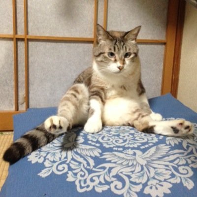 famicom_tom's profile picture. ファミコンについていろいろ言う人 ゲーム好きな人はフォローよろー Zelda Fan 今欲しいもの ハードNES SNES FC FDS NewFC Wii U(NTSC-U&J)ソフトMario Bros Mario2 Zelda Zelda2 SSBBかな？ プログラミングについて教えてください！