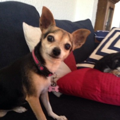 lindagaston1's profile picture. 