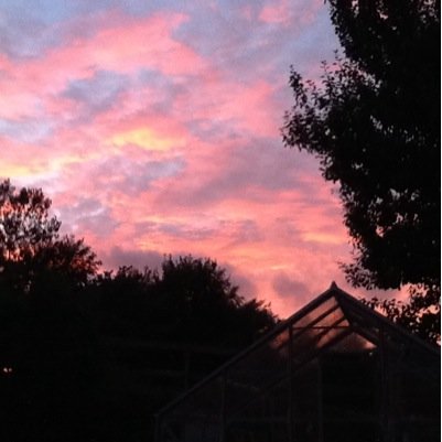 EPritcharde's profile picture. West is Best