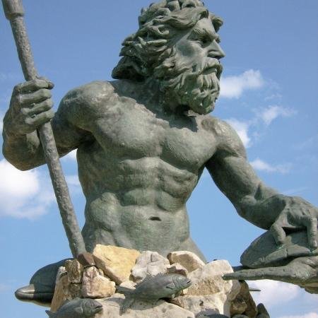 NARocket's profile picture. 