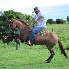 Abogado, libre pensador,no creo en muertos.