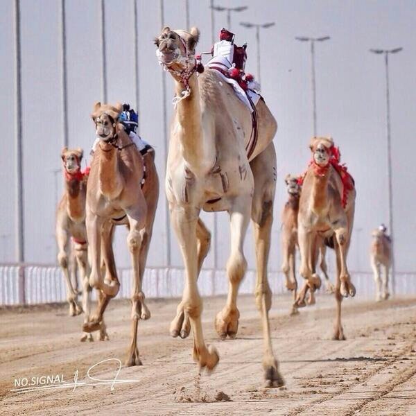 Kkjgfubv's profile picture. 