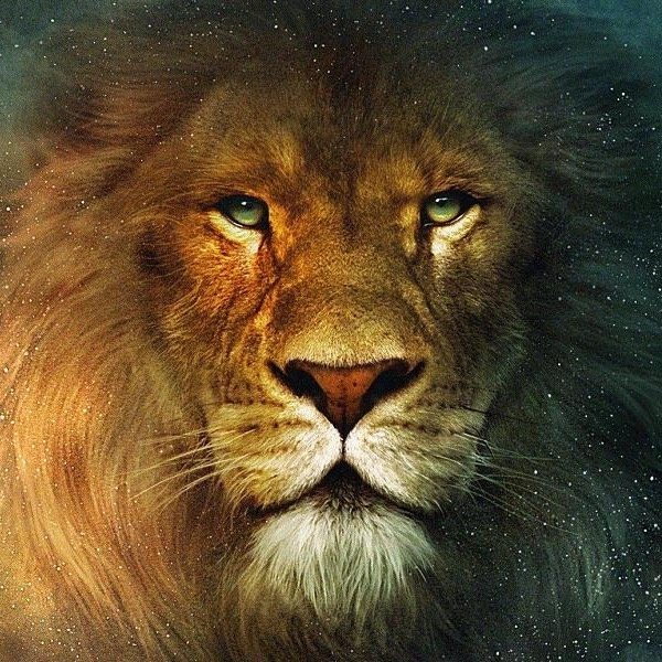 AslanDaily's profile picture. King of Narnia, the King of Beasts, the Lord of the Wood, and the son of the great Emperor-Beyond-the-Sea.
