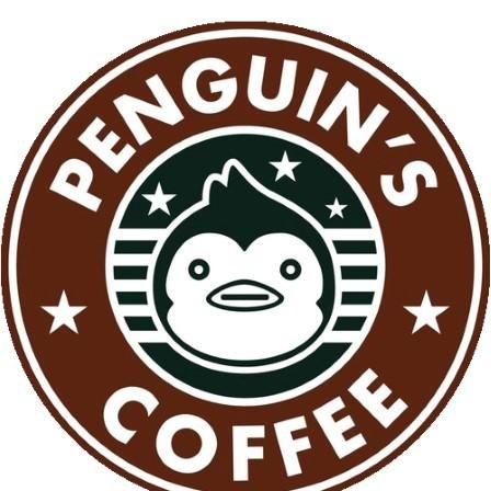 application developer